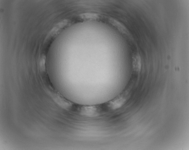 X0000060740717200511241638