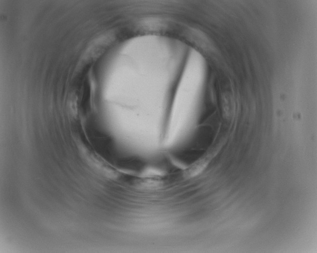 X0000060740718200511241638