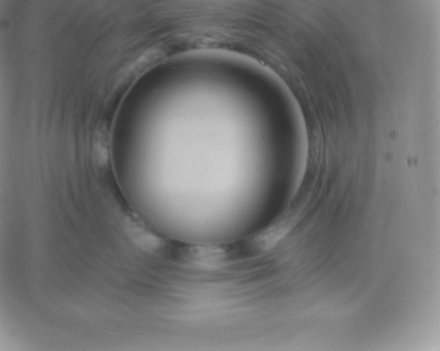 X0000060740719200511241638