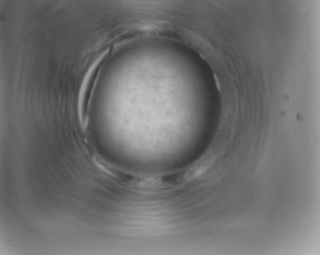 X0000060740720200511241638