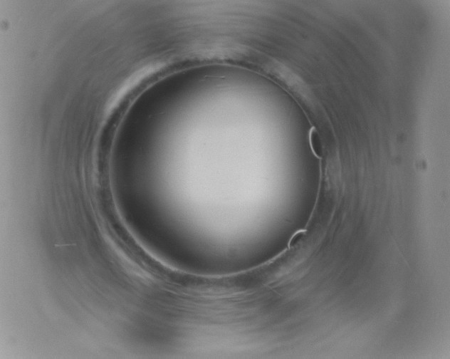 X0000060740722200511241637