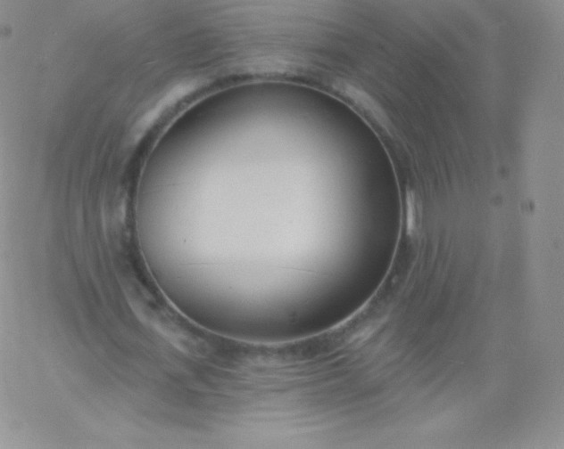 X0000060740723200511241637