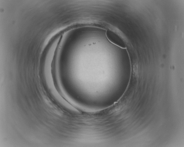 X0000060740724200511241637