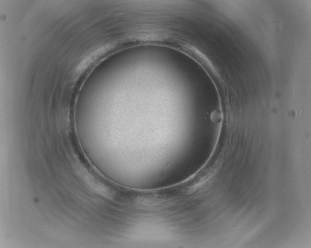 X0000060740725200511241637