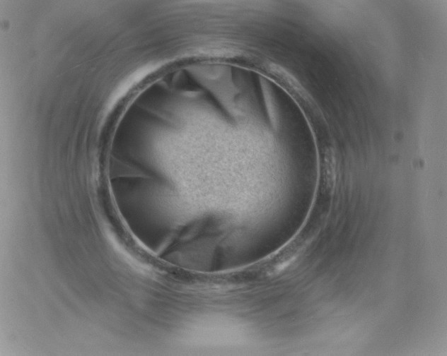 X0000060740726200511241637