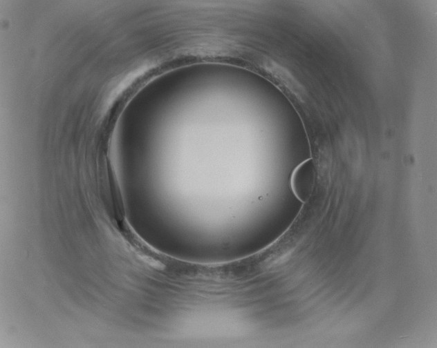 X0000060740727200511241637