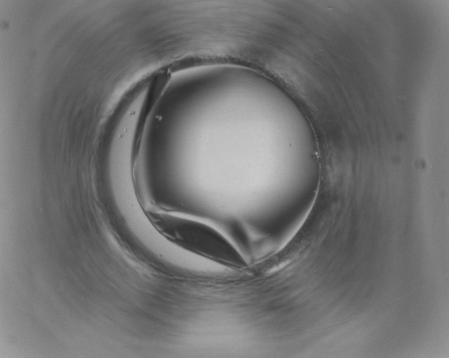 X0000060740728200511241637