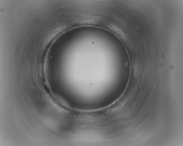 X0000060740729200511241637