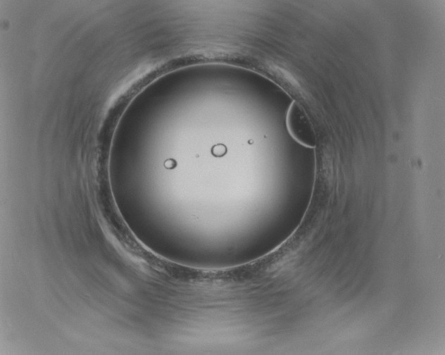 X0000060740730200511241637