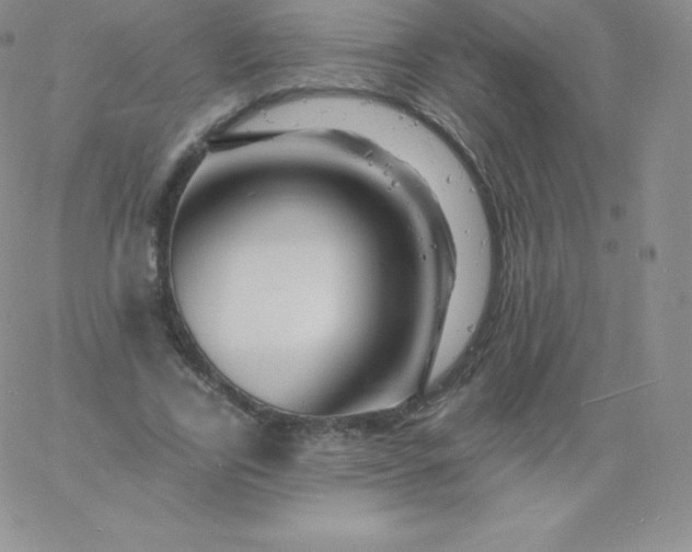 X0000060740731200511241637