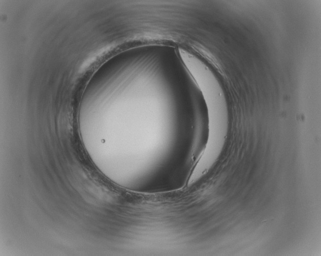 X0000060740732200511241637