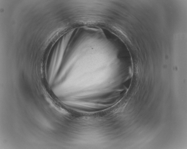 X0000060740733200511241637