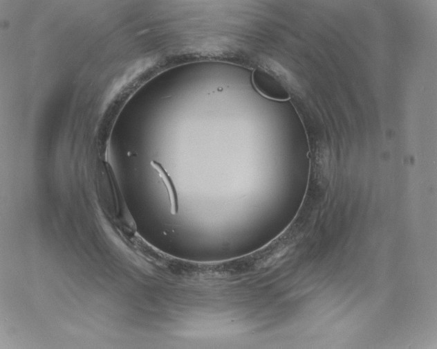 X0000060740734200511241637