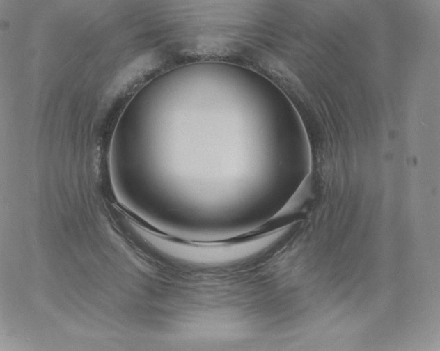 X0000060740735200511241637