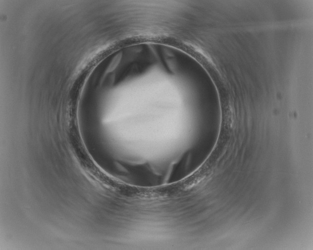 X0000060740736200511241637