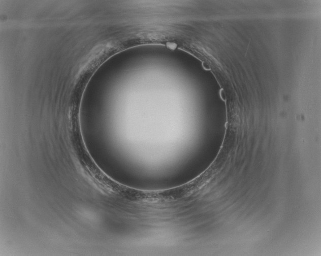 X0000060740738200511241637