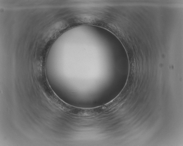 X0000060740739200511241637