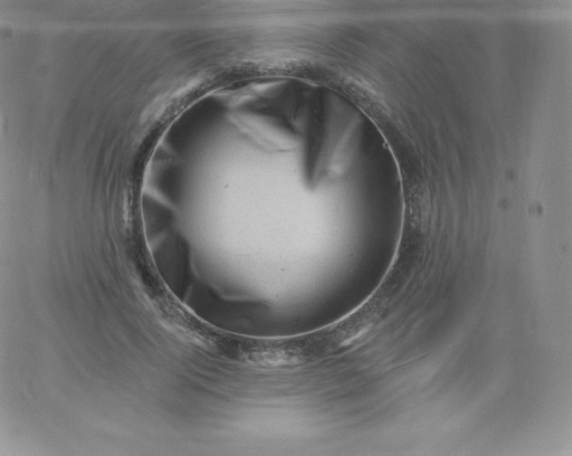 X0000060740740200511241637