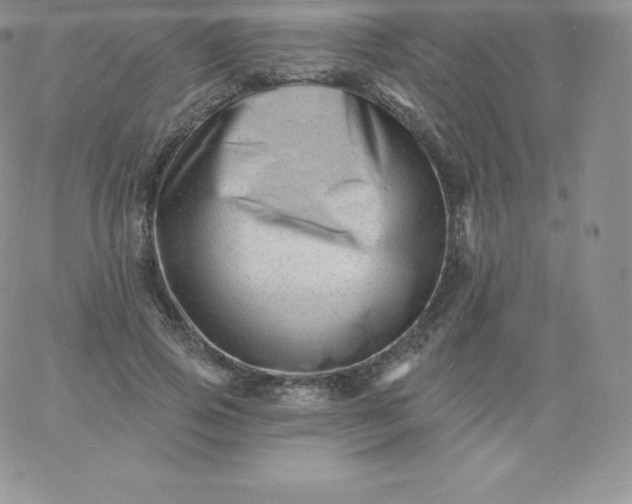 X0000060740741200511241637