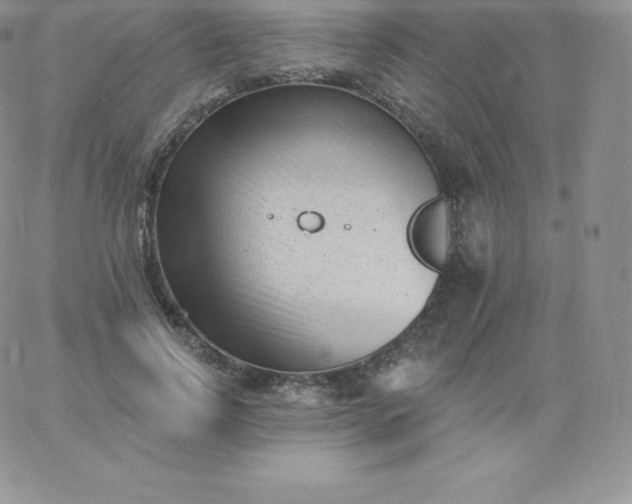 X0000060740742200511241637