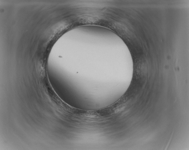 X0000060740743200511241637