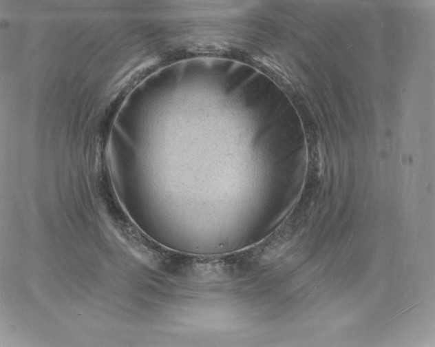 X0000060740744200511241637