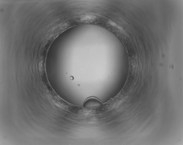 X0000060740745200511241637