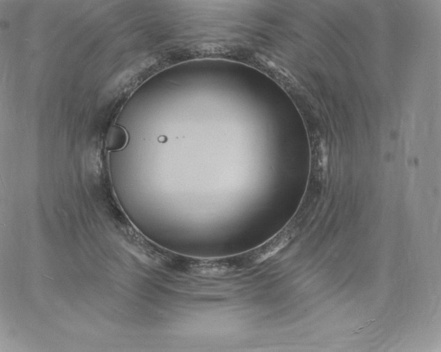 X0000060740746200511241637