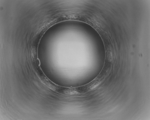 X0000060740747200511241637