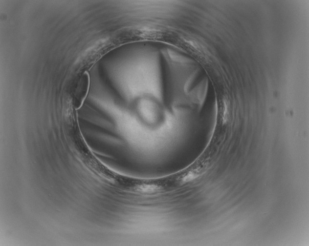 X0000060740748200511241637