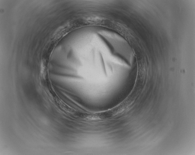 X0000060740749200511241637