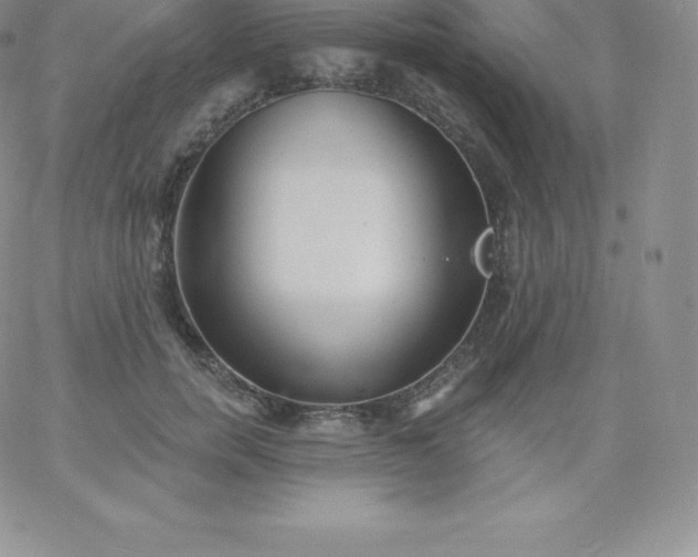 X0000060740750200511241638