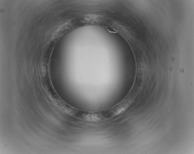 X0000060740751200511241638