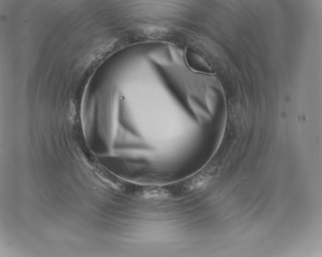 X0000060740752200511241638