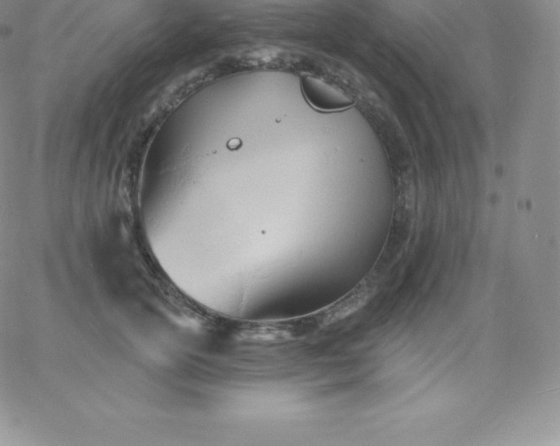 X0000060740754200511241638