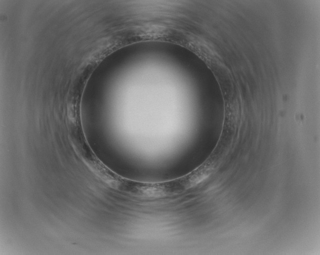 X0000060740755200511241638