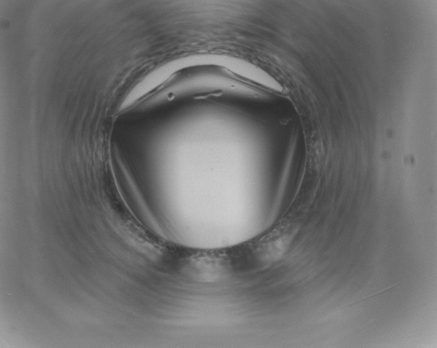 X0000060740756200511241638