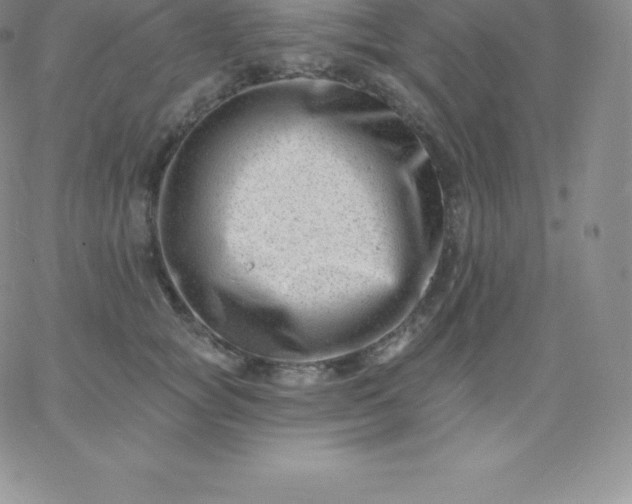 X0000060740757200511241638