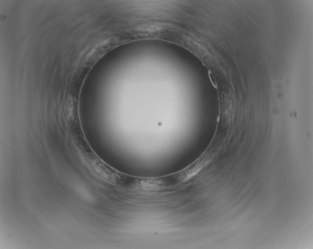 X0000060740758200511241638