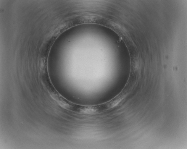 X0000060740759200511241638