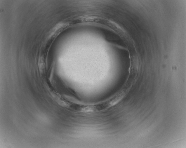 X0000060740761200511241638