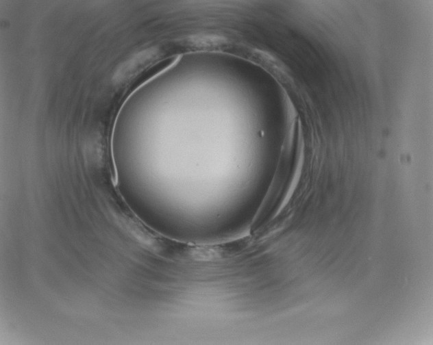 X0000060740762200511241638