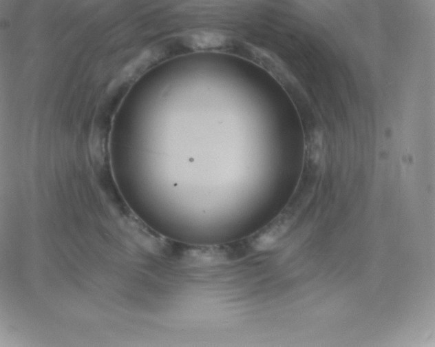 X0000060740763200511241638