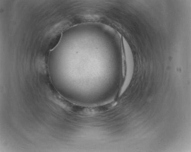 X0000060740764200511241638