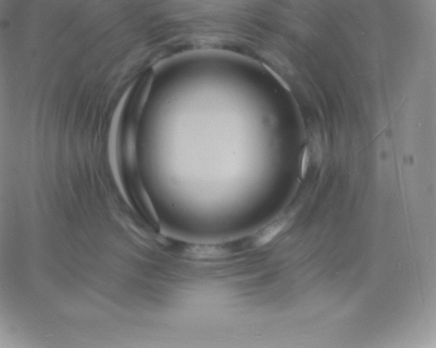 X0000060740766200511241638