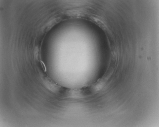 X0000060740767200511241638