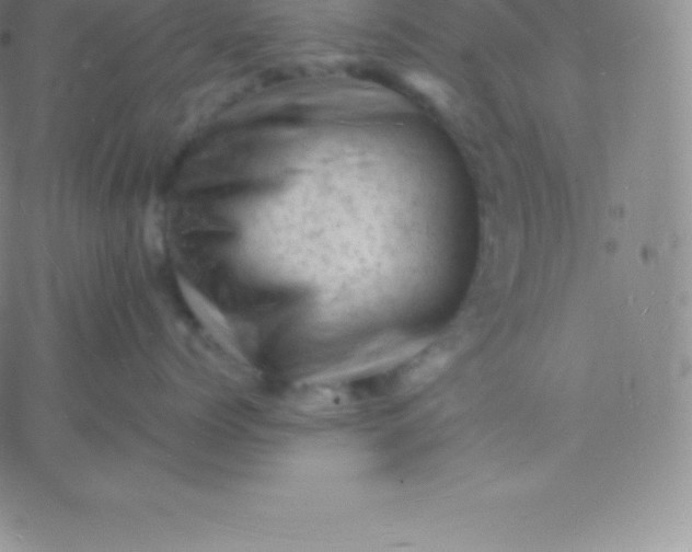 X0000060740768200511241638