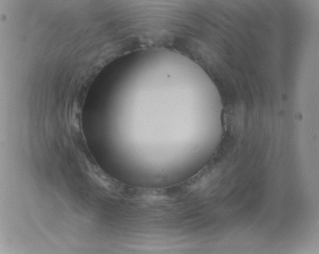 X0000060740770200511241637