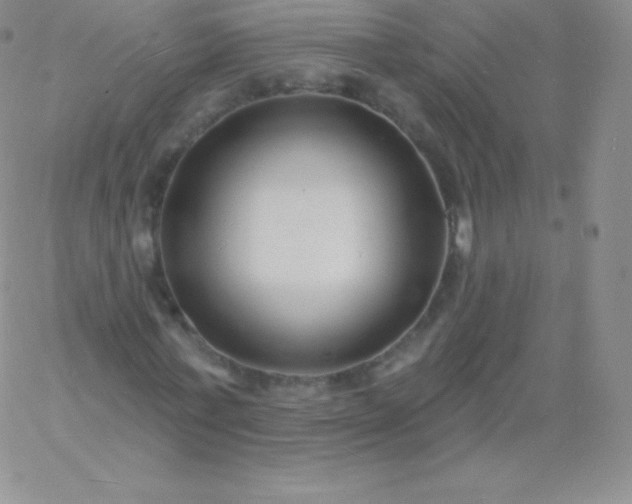 X0000060740771200511241637