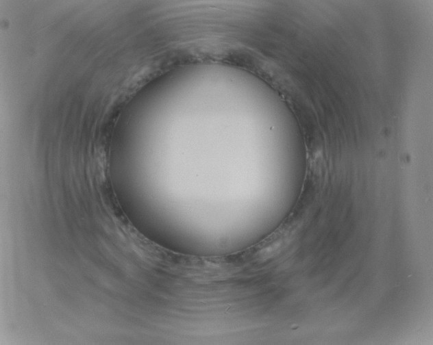 X0000060740772200511241637